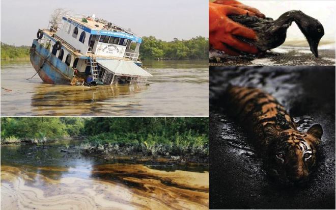 Anup Kundus photo 28 Jan 2015